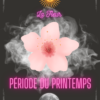 Oracle Charmed – Image 6